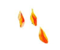 plamen2